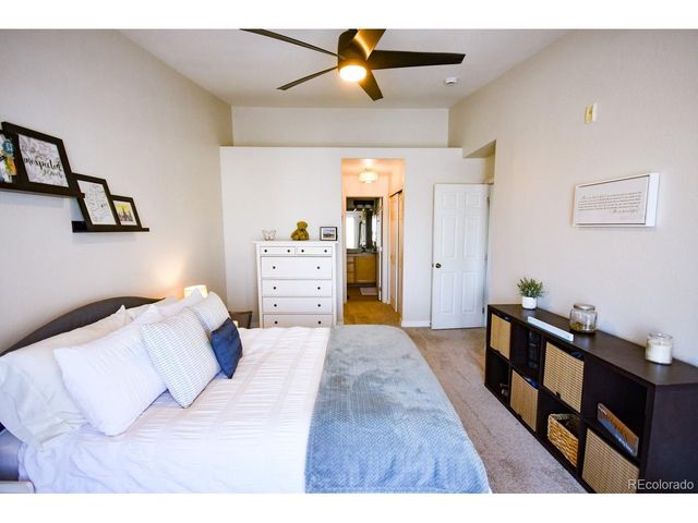 479 Black Feather Loop 3-319, Castle Rock, CO 80104