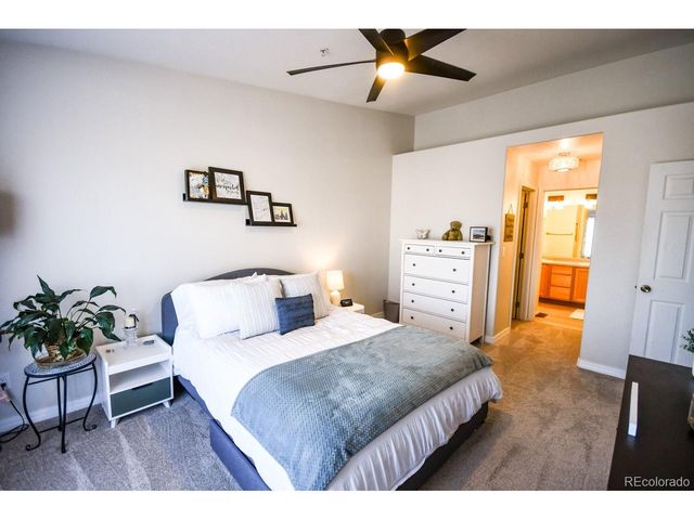 479 Black Feather Loop 3-319, Castle Rock, CO 80104