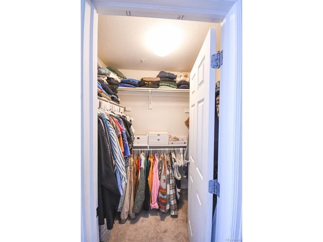 479 Black Feather Loop 3-319, Castle Rock, CO 80104