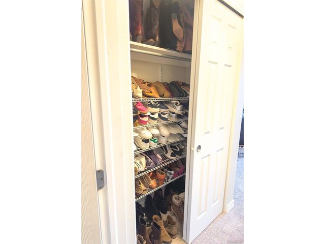 479 Black Feather Loop 3-319, Castle Rock, CO 80104