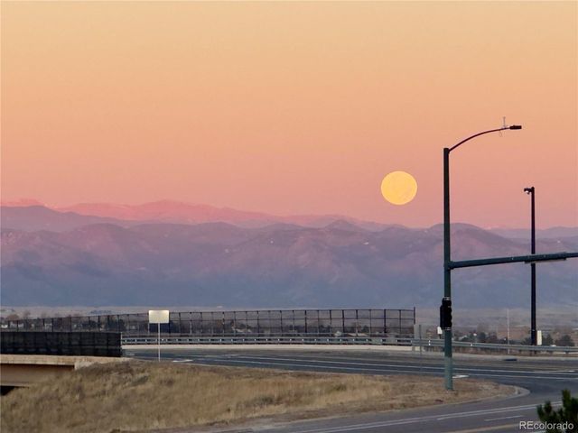 479 Black Feather Loop 3-319, Castle Rock, CO 80104