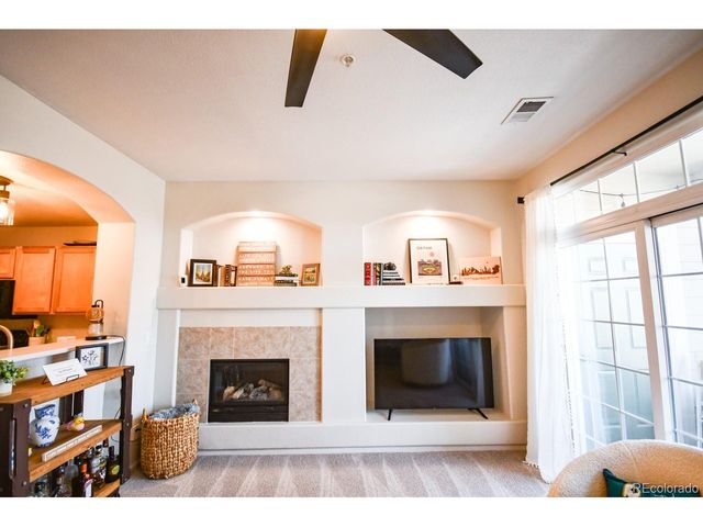 479 Black Feather Loop 3-319, Castle Rock, CO 80104