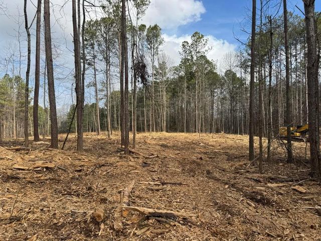 0 Pope Road, Buchanan, GA 30113