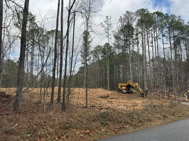 0 Pope Road, Buchanan, GA 30113