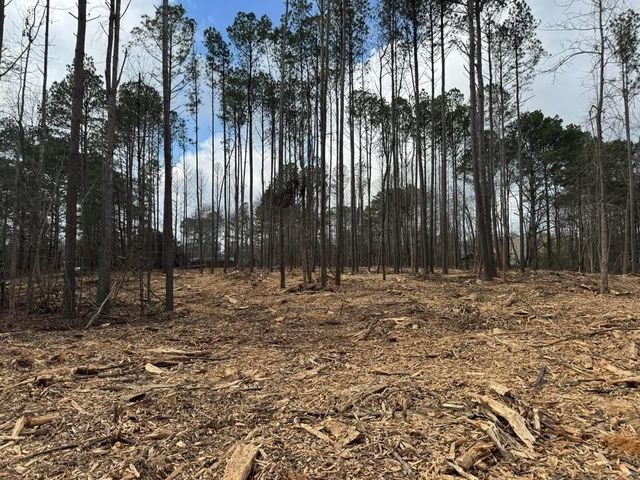 0 Pope Road, Buchanan, GA 30113