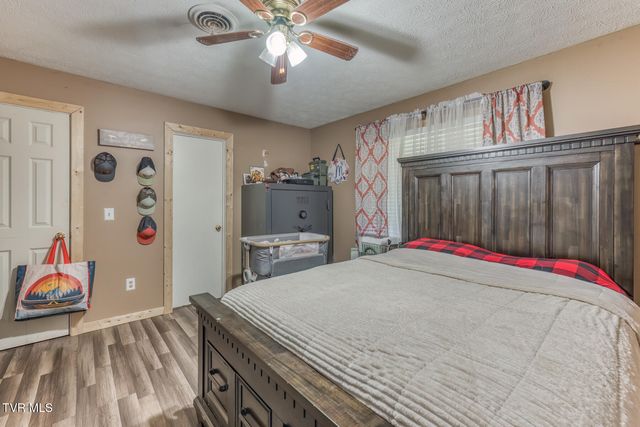 657 Pedro Shoun Lane, Mountain City, TN 37683