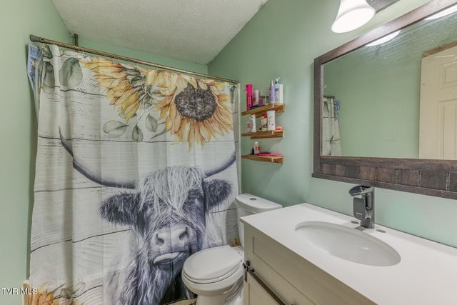 657 Pedro Shoun Lane, Mountain City, TN 37683