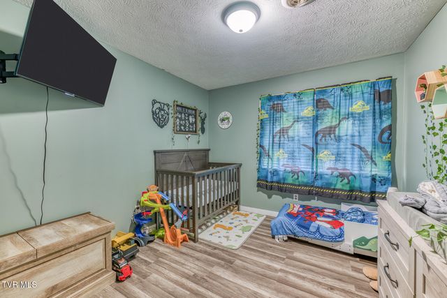 657 Pedro Shoun Lane, Mountain City, TN 37683