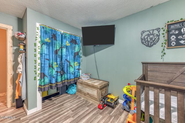 657 Pedro Shoun Lane, Mountain City, TN 37683