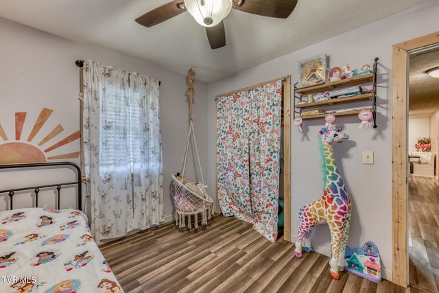 657 Pedro Shoun Lane, Mountain City, TN 37683