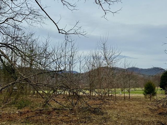 Lot 14 Valley Hideaway Drive, Hayesville, NC 28904