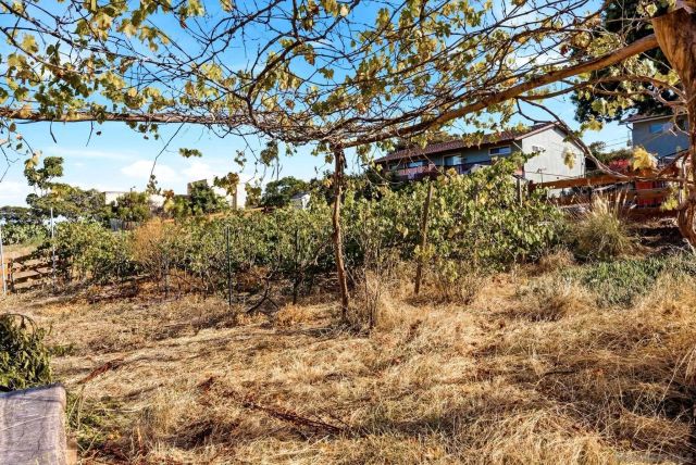 161 Parnassus Circle, Oceanside, CA 92054