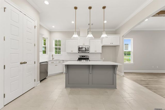 24258 Steller's Sea Drive, Denham Springs, LA 70726