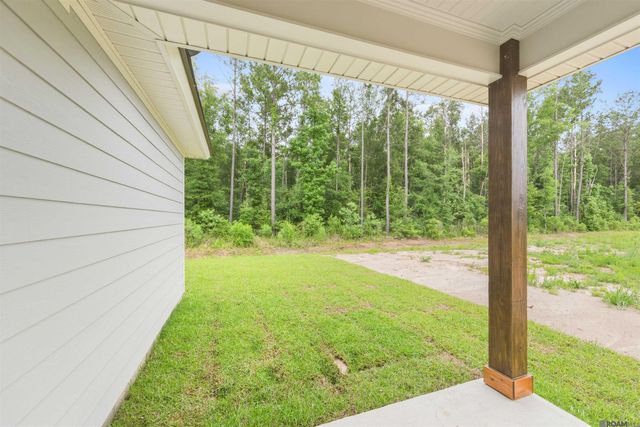 24258 Steller's Sea Drive, Denham Springs, LA 70726