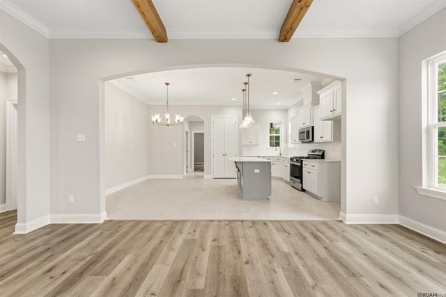 24258 Steller's Sea Drive, Denham Springs, LA 70726