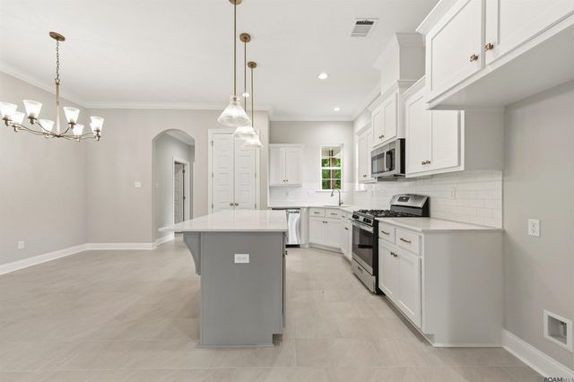 24258 Steller's Sea Drive, Denham Springs, LA 70726