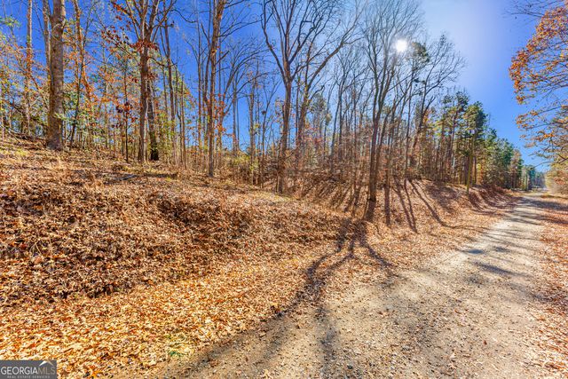 0 Mountain View Road, Lavonia, GA 30553