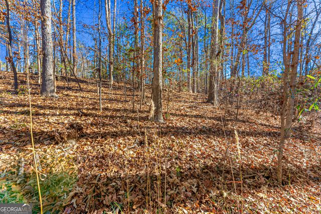 0 Mountain View Road, Lavonia, GA 30553