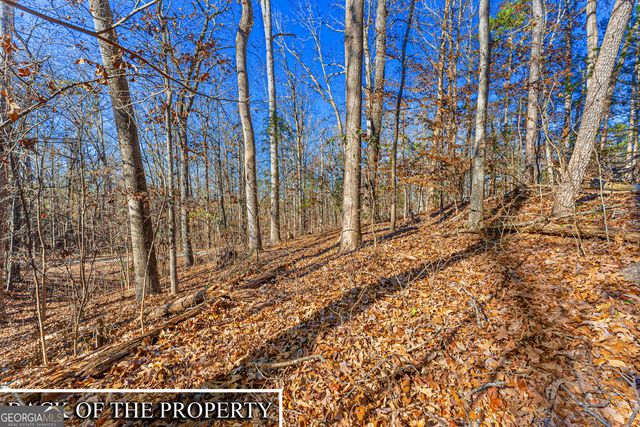 0 Mountain View Road, Lavonia, GA 30553