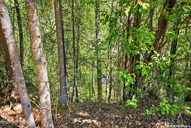 22774 Needels Loop, Chugiak, AK 99567