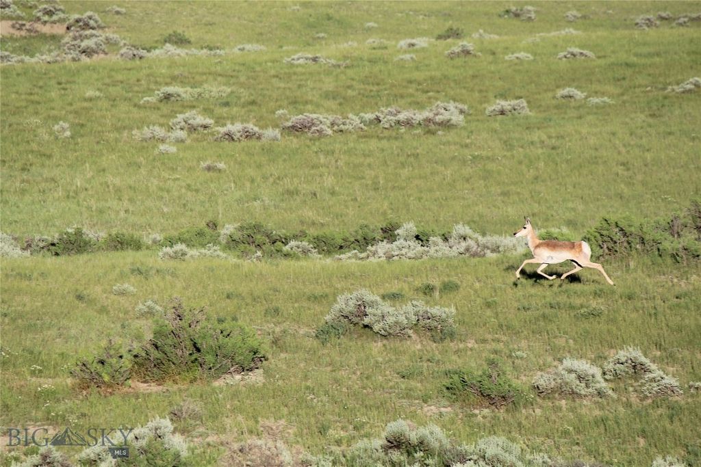 7888 Nitro Road, Other, WY 82646 photo 21