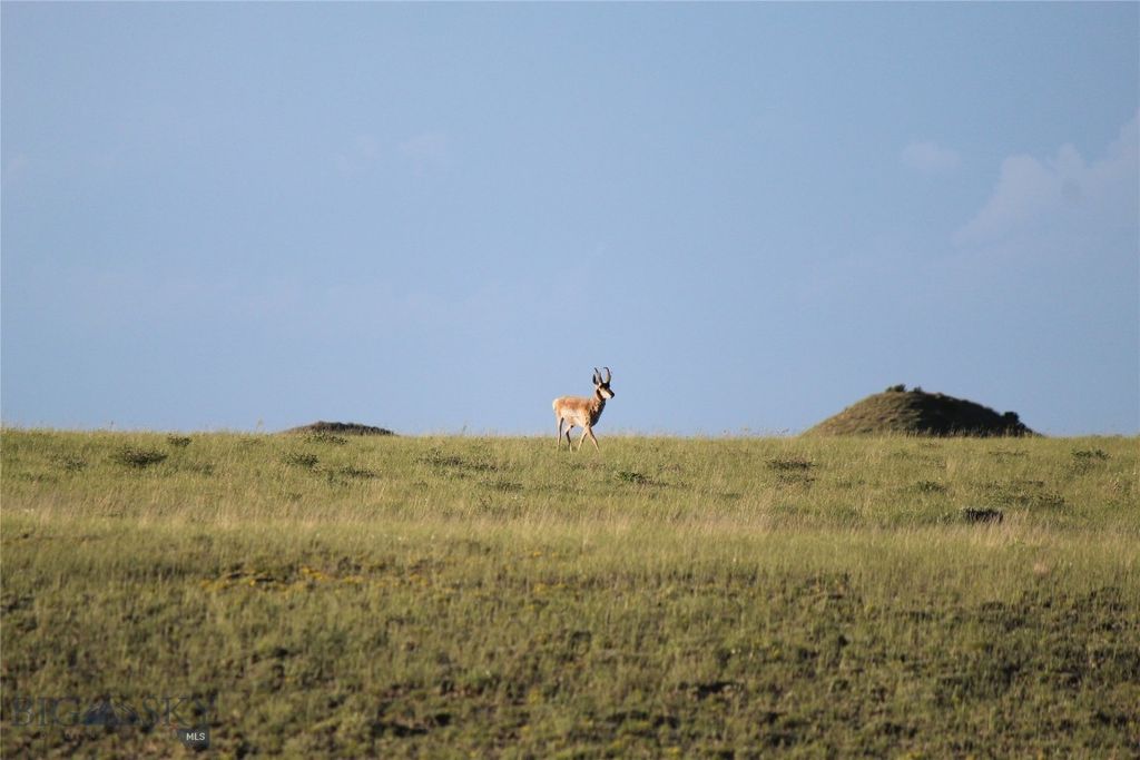7888 Nitro Road, Other, WY 82646 photo 27