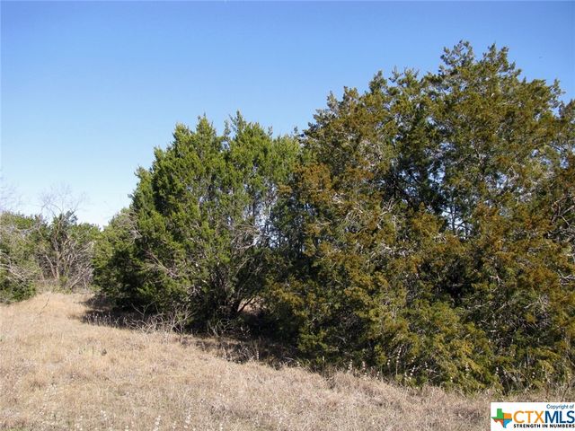 Lot 3 Ph 6 County Road 421, Evant, TX 76525