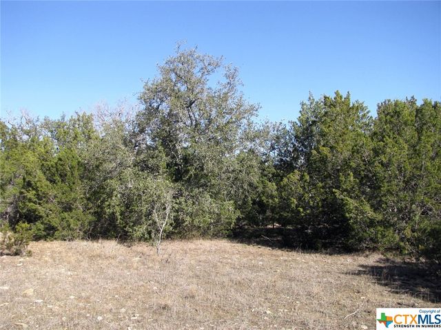 Lot 3 Ph 6 County Road 421, Evant, TX 76525
