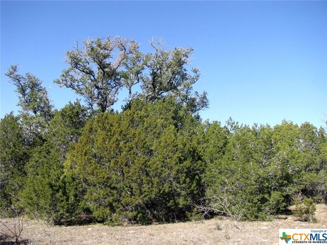 Lot 3 Ph 6 County Road 421, Evant, TX 76525