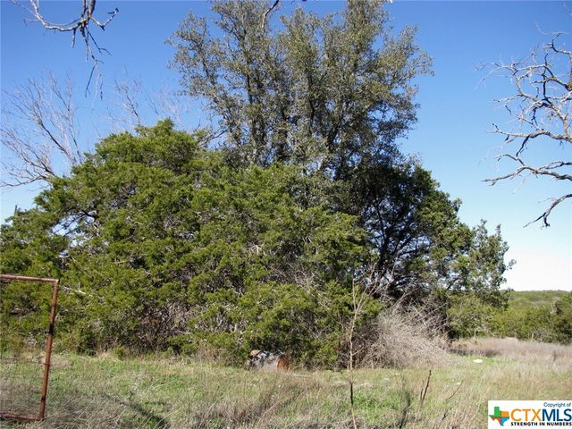 Lot 3 Ph 6 County Road 421, Evant, TX 76525