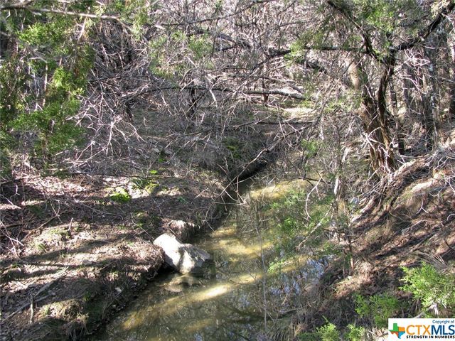 Lot 3 Ph 6 County Road 421, Evant, TX 76525
