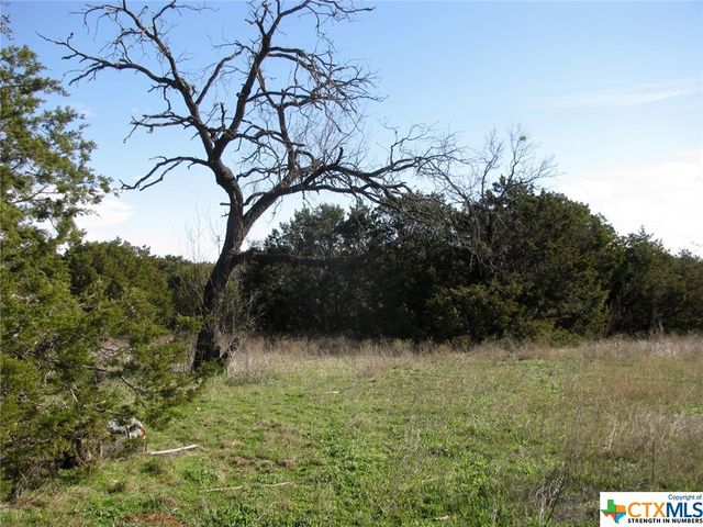 Lot 3 Ph 6 County Road 421, Evant, TX 76525