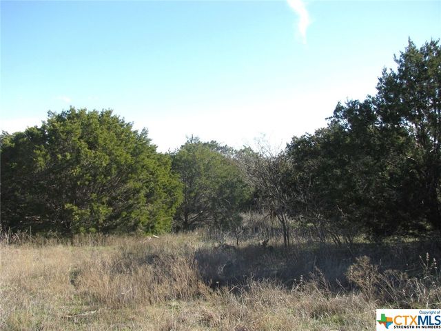 Lot 3 Ph 6 County Road 421, Evant, TX 76525