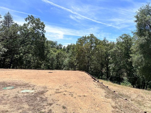 578 Greenwood Dr, Meadow Vista, CA 95722
