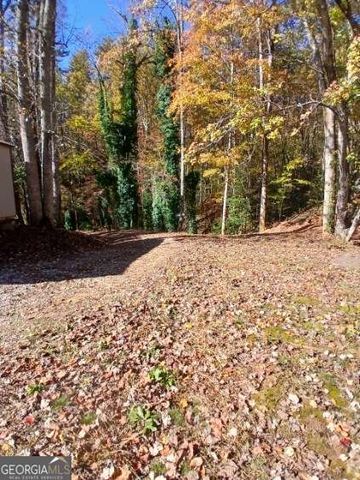 10607 Warwoman Road, Clayton, GA 30525