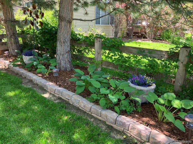 7463 Norfolk Place, Castle Pines, CO 80108