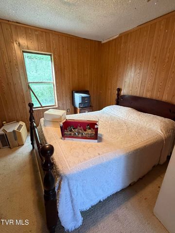 16135 Pocahontas Trail, Meadowview, VA 24361