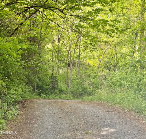 16135 Pocahontas Trail, Meadowview, VA 24361