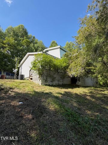 16135 Pocahontas Trail, Meadowview, VA 24361
