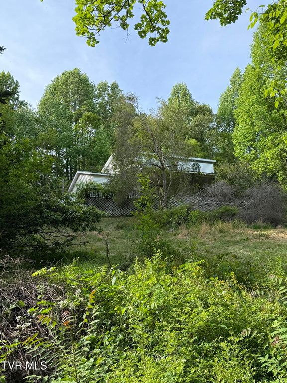 16135 Pocahontas Trail, Meadowview, VA 24361