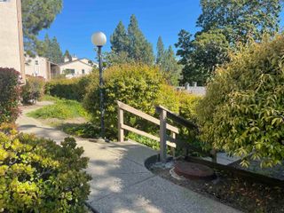 395 Camelback Rd 2, Pleasant Hill, CA 94523