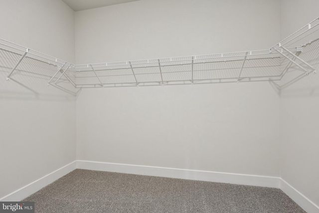 234 HYDRANGEA WAY, Winchester, VA 22602