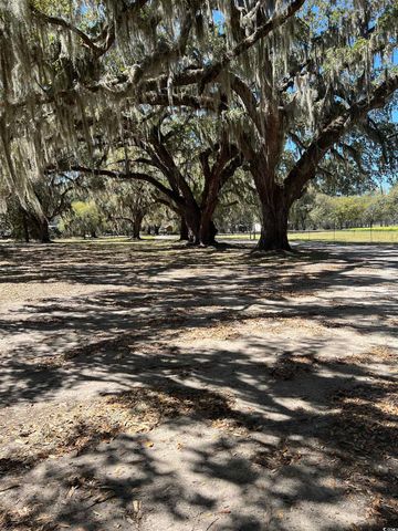 Lot 9 Samworth Loop, Georgetown, SC 29440