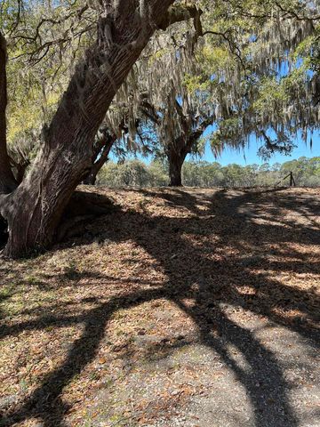 Lot 9 Samworth Loop, Georgetown, SC 29440
