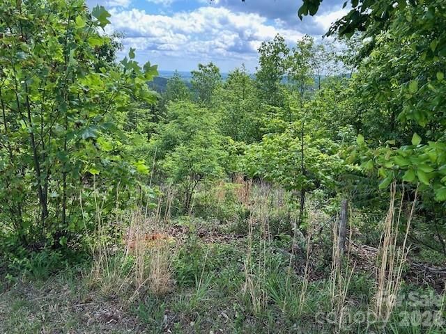 0 Azule Ridge, Bostic, NC 28018