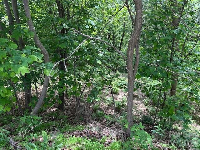 0 Azule Ridge, Bostic, NC 28018