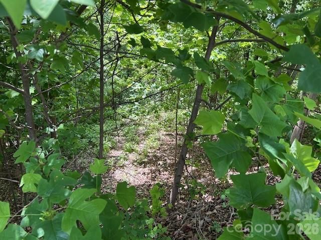 0 Azule Ridge, Bostic, NC 28018