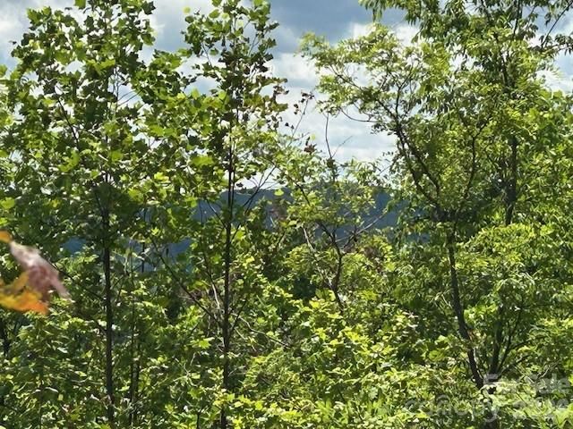 0 Azule Ridge, Bostic, NC 28018