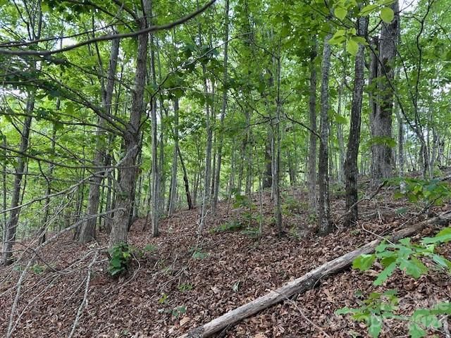 0 Azule Ridge, Bostic, NC 28018
