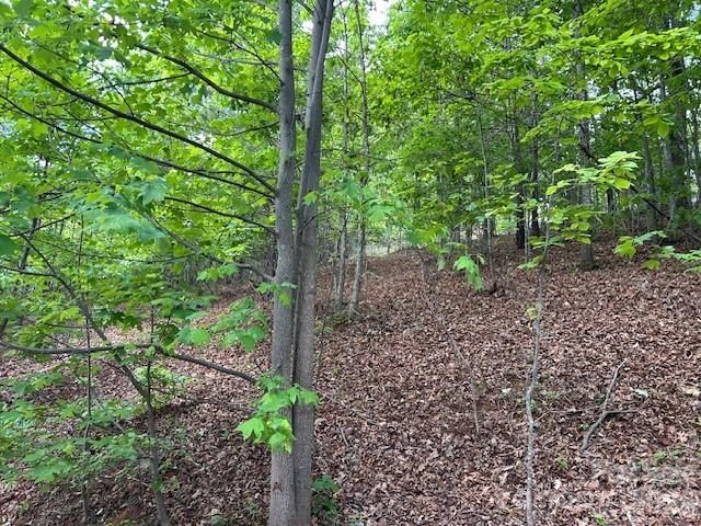 0 Azule Ridge, Bostic, NC 28018